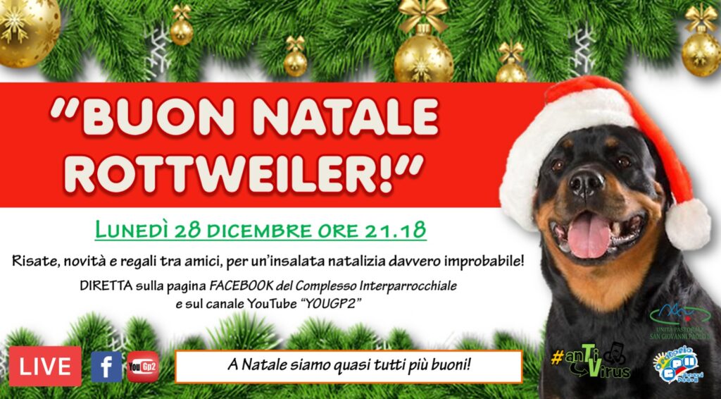 2020.12.28 buon Natale rotweiller