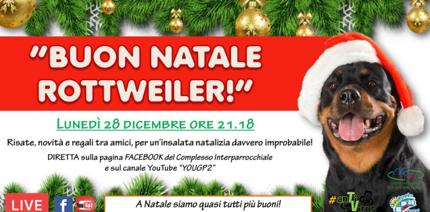 2020.12.28 buon Natale rotweiller